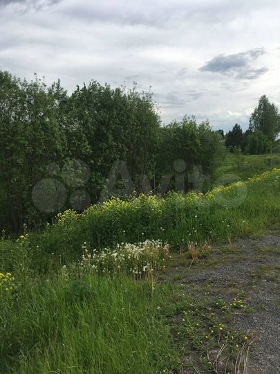 Участок 25 сот. (ИЖС)