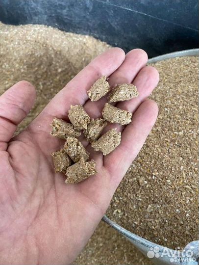 Сухой корм для собак