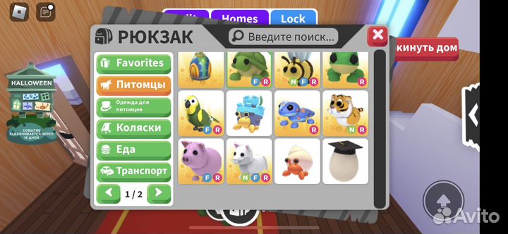 Петы адопт ми