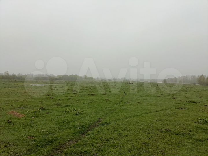 Участок 14 га (СНТ, ДНП)