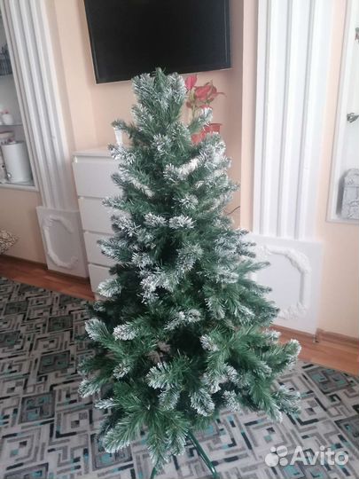 Ель с инеем