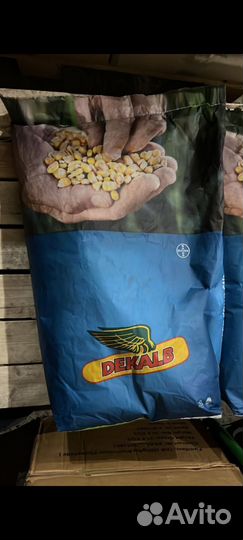 Семена кукурузы, подсолнуха оптом