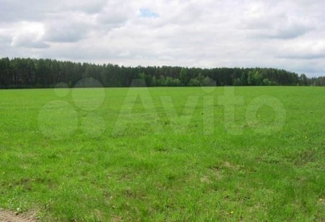 Участок 1,22 га (СНТ, ДНП)