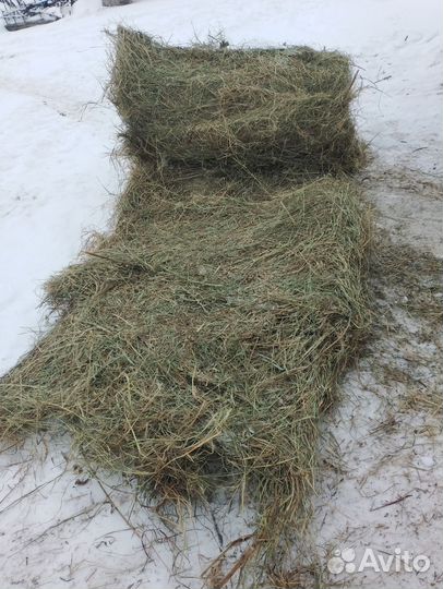 Продаётся сено