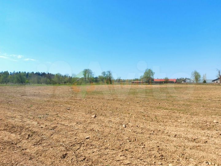 Участок 2,16 га (СНТ, ДНП)