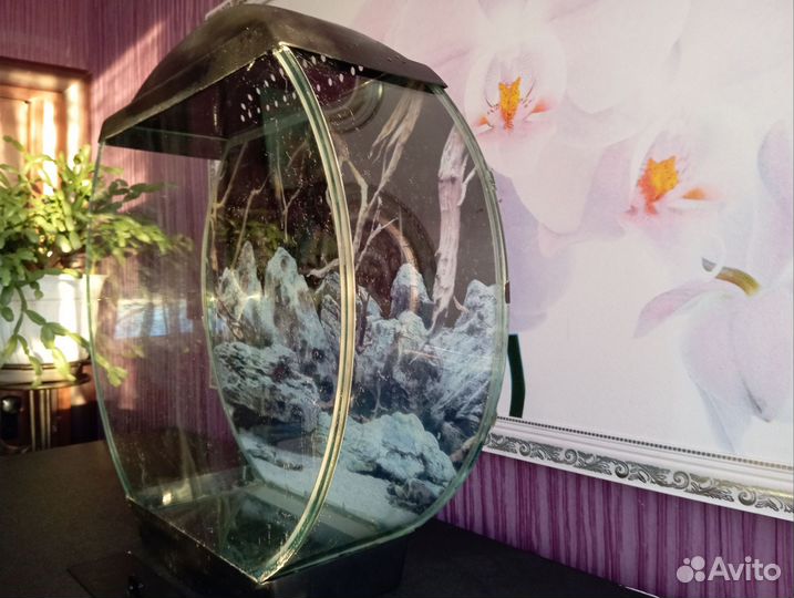 Аквариумы 30 л., 50 л., 100 л