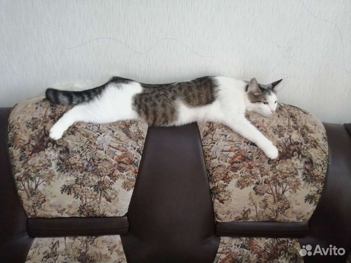 Передержка