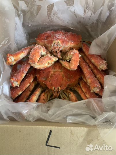 Краб Камчатский целый розница/опт 2023