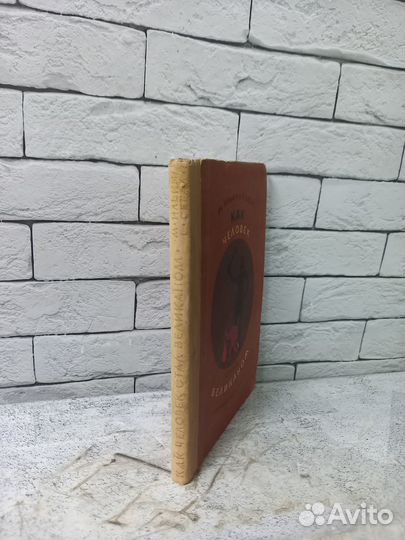 Ильин М., Сегал Е. Как человек стал великаном. Кн