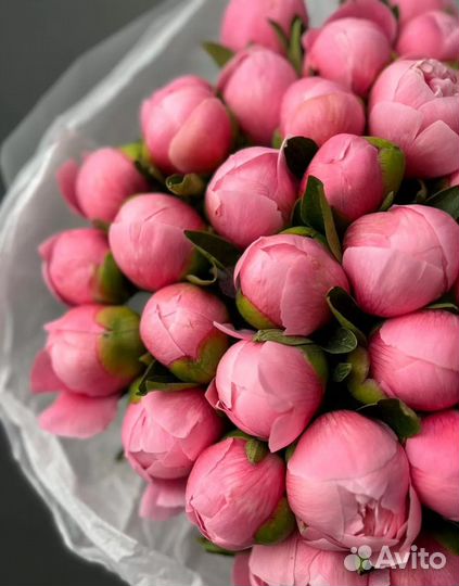 Пионы букет