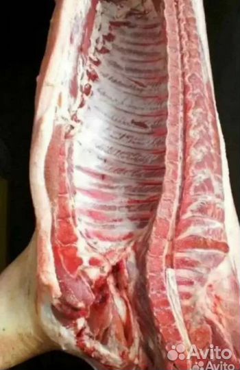 Для дома и дачи