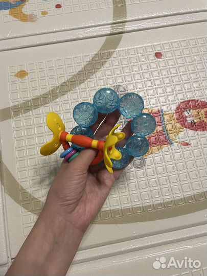 Грызунок Pigeon