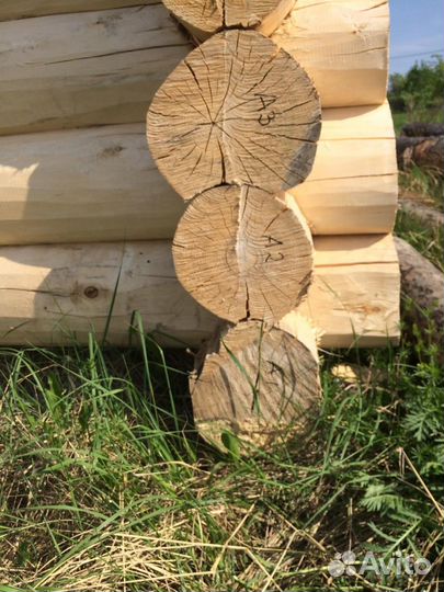 Сбруб для бани 3х3