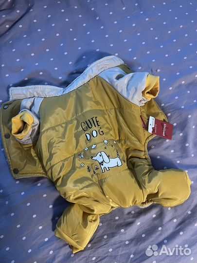 Костюм доя собаки зимний L