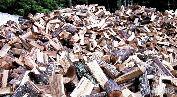 Дрова береза от производителя