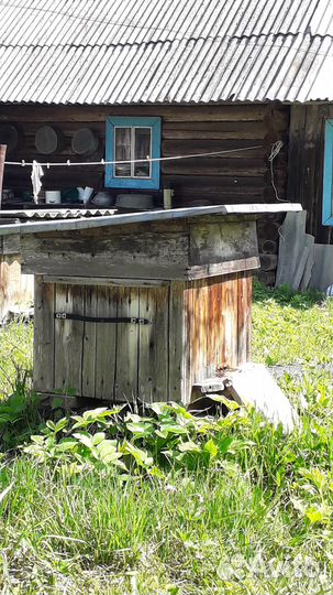 Продаю 2 пчелосемьи с ульями