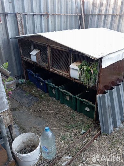 Клетки для кроликов