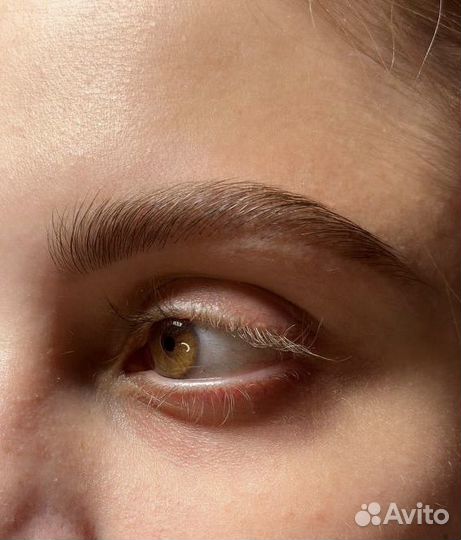 Модель на брови за расходники