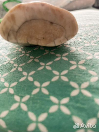 Имитация бивня