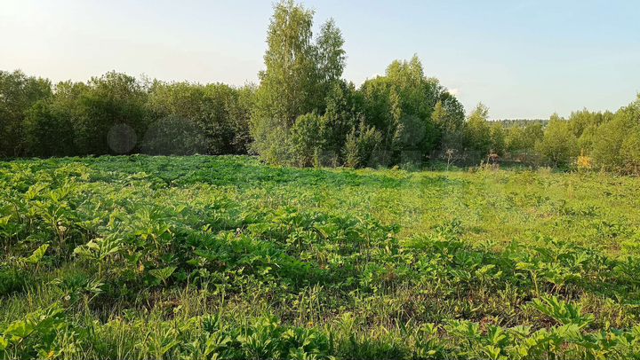 Участок 20 сот. (ИЖС)