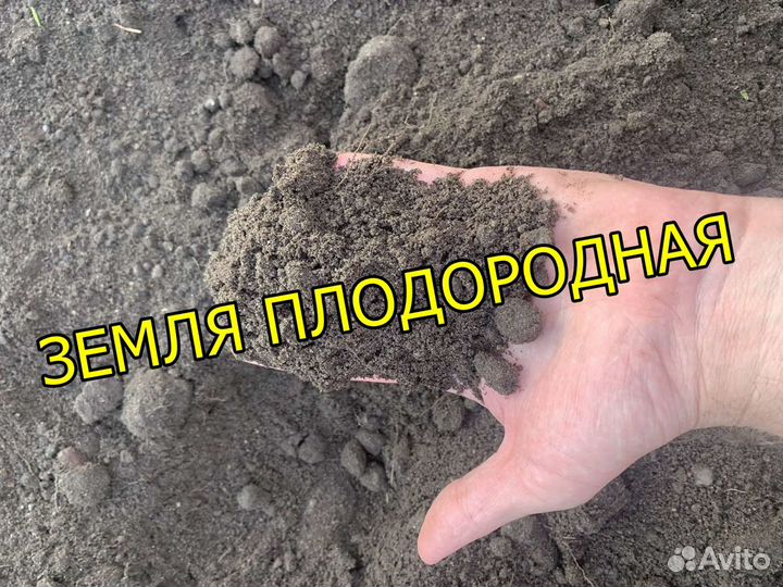 Грунт Полевой