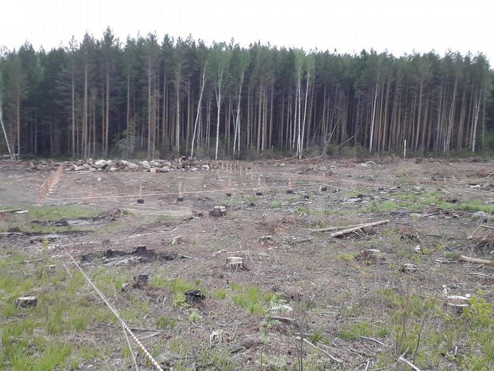 Участок 12 сот. (ИЖС)