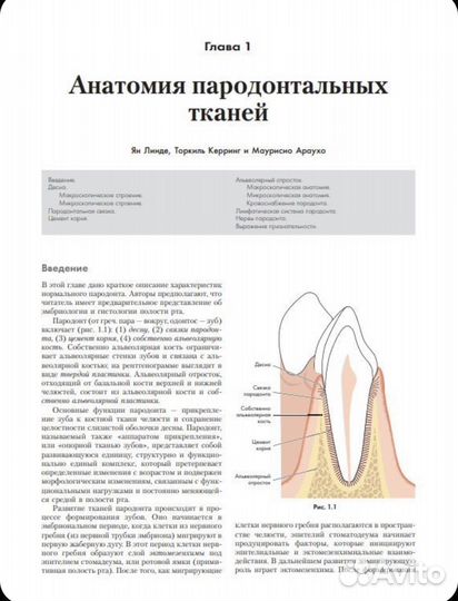 Пародонтология и дентальная имплантация