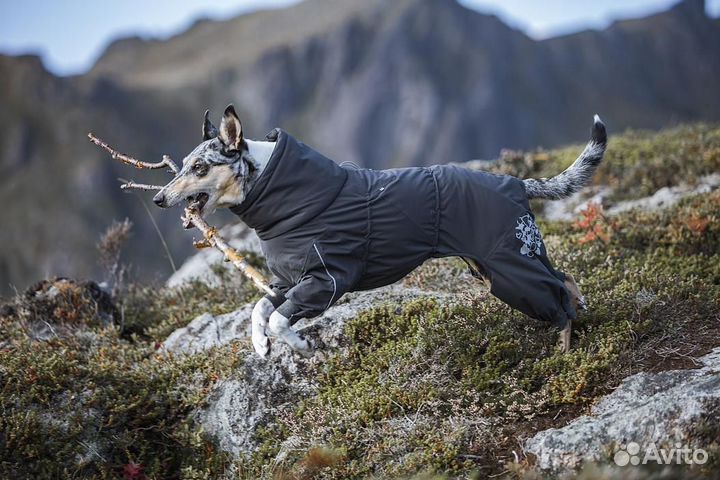 Комбинезон для собак Hurtta Extreme Overall