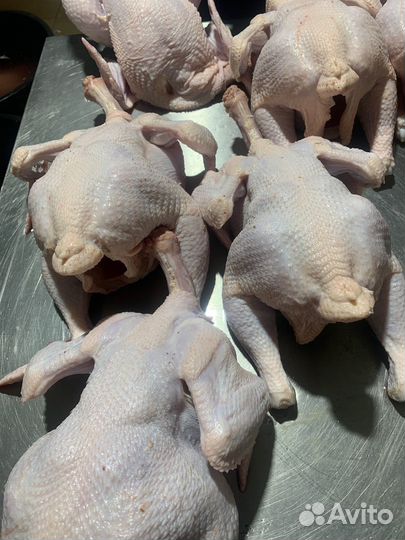 Домашняя курочка Халяль