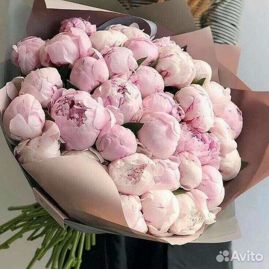 Пионы Розовые Пионы с доставкой