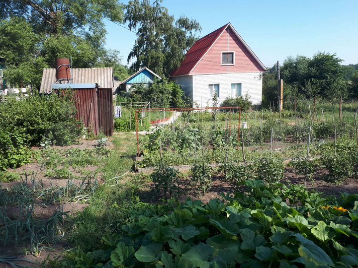 Дом 50 м² на участке 11 сот.