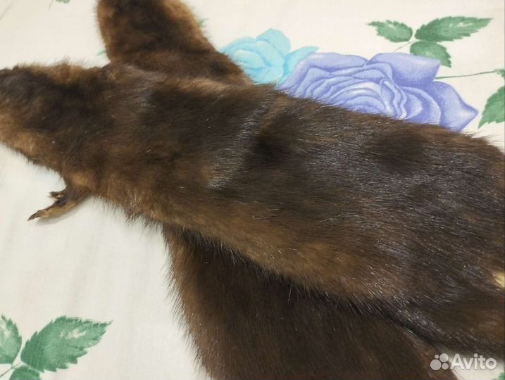 Шкура норки мех