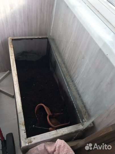 Аквариум террариум