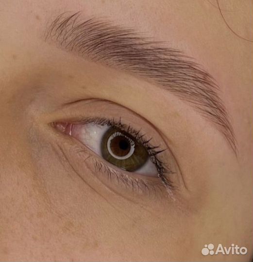 Мастер бровист