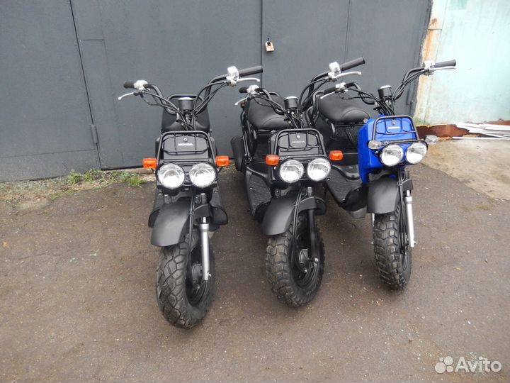 Скутер Honda Zoomer инжектор 19 рама только из Япо