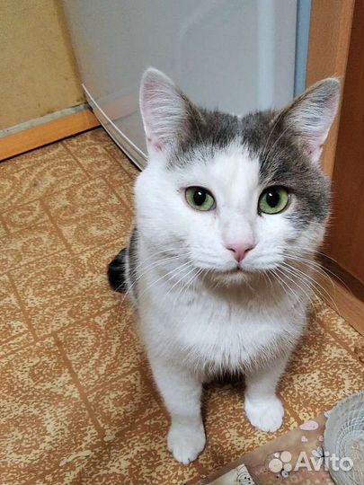 Василий Кузьмич