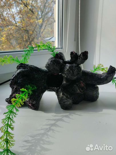 Коряги для аквариума