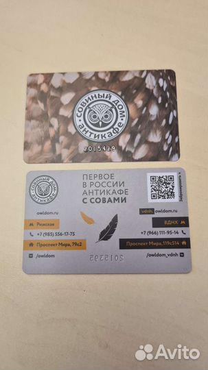 Карта в антикафе с совами. 1шт