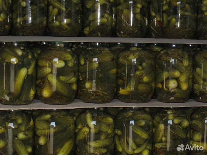 Огурцы консервированные 3л
