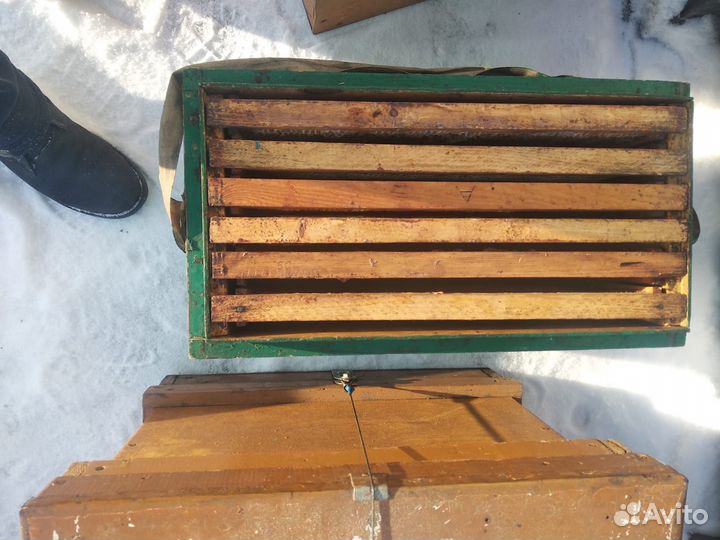 Ульи для пчел