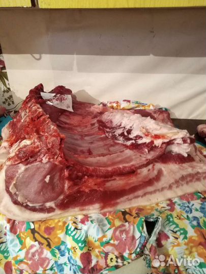 Мясо свинина домашняя
