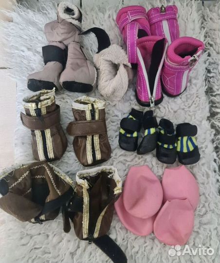 Для животных,одежда,игрушки,обувь,лежанка,матрас