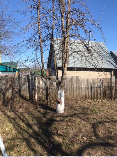 Участок 5,2 сот. (СНТ, ДНП)