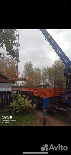 Сборка деревянных домов