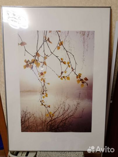 Картина фотопечать