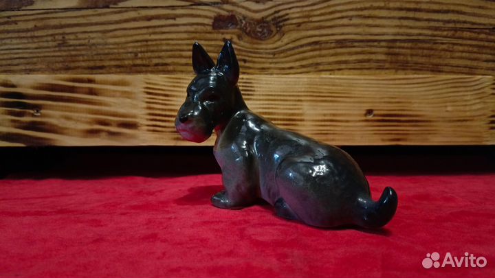 Скотч-Терьер лфз