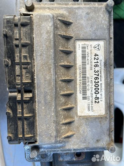 Мозги эбу на газель