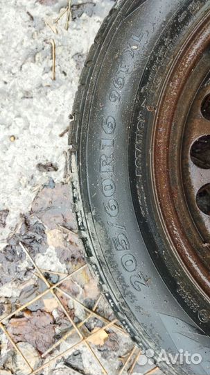 Nokian Tyres Nordman 7 205/60 R16