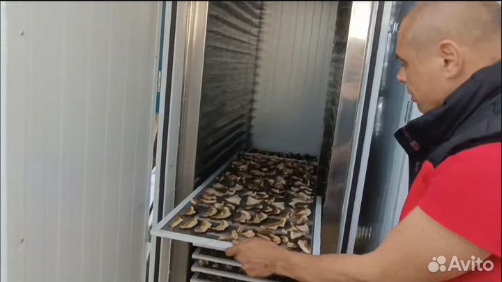 Дегидратор от производителя для овощей и фруктов