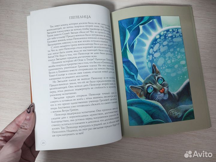 Серия книг 